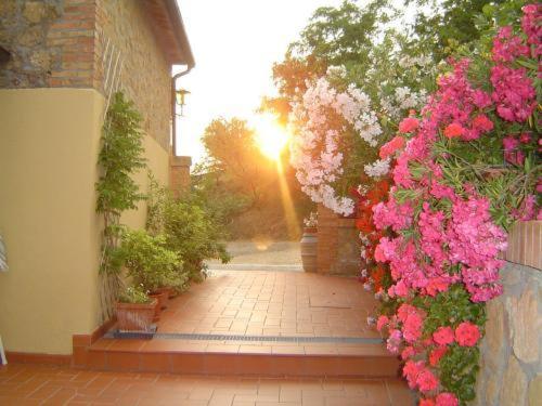 Agriturismo Il Colombaiolo Villa Pienza Exterior photo