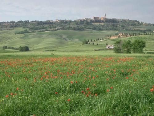 Agriturismo Il Colombaiolo Villa Pienza Exterior photo